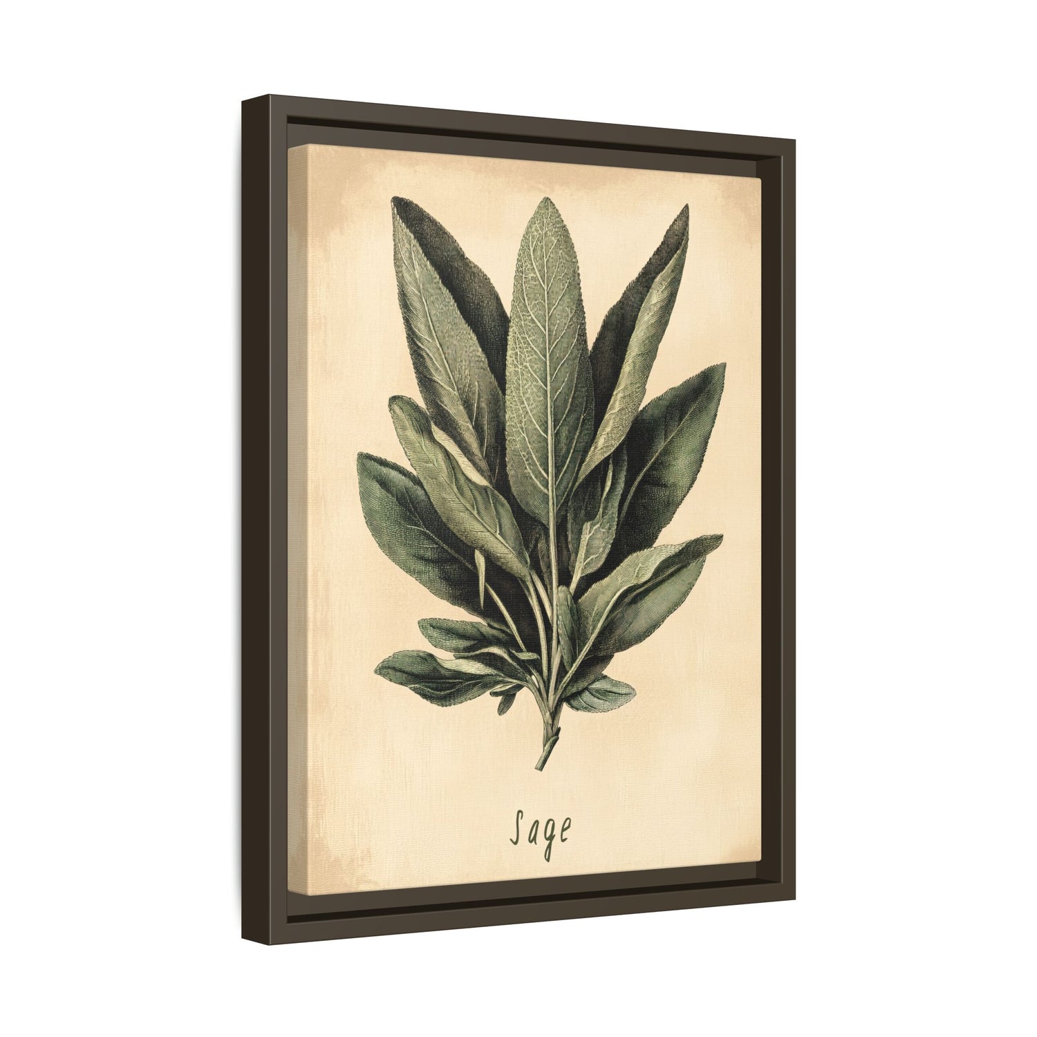 Framed Canvas - Botanical Sage Study