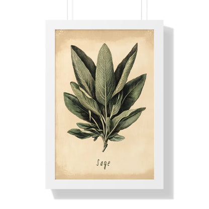 Framed Paper Print - Botanical Sage Study