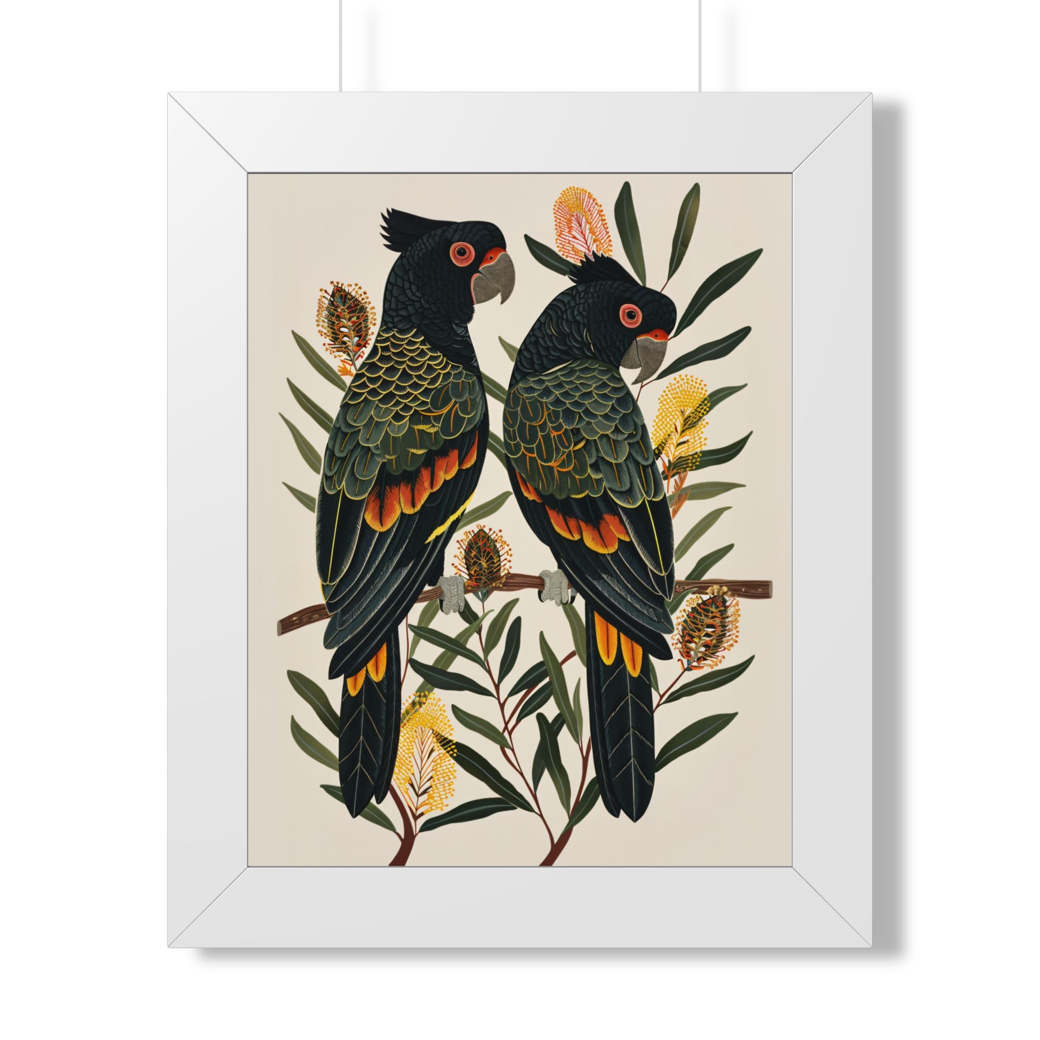 Framed Paper Print - Black Cockatoos Among Banksia