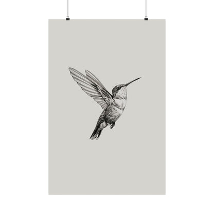 Flying Hummingbird Line Study