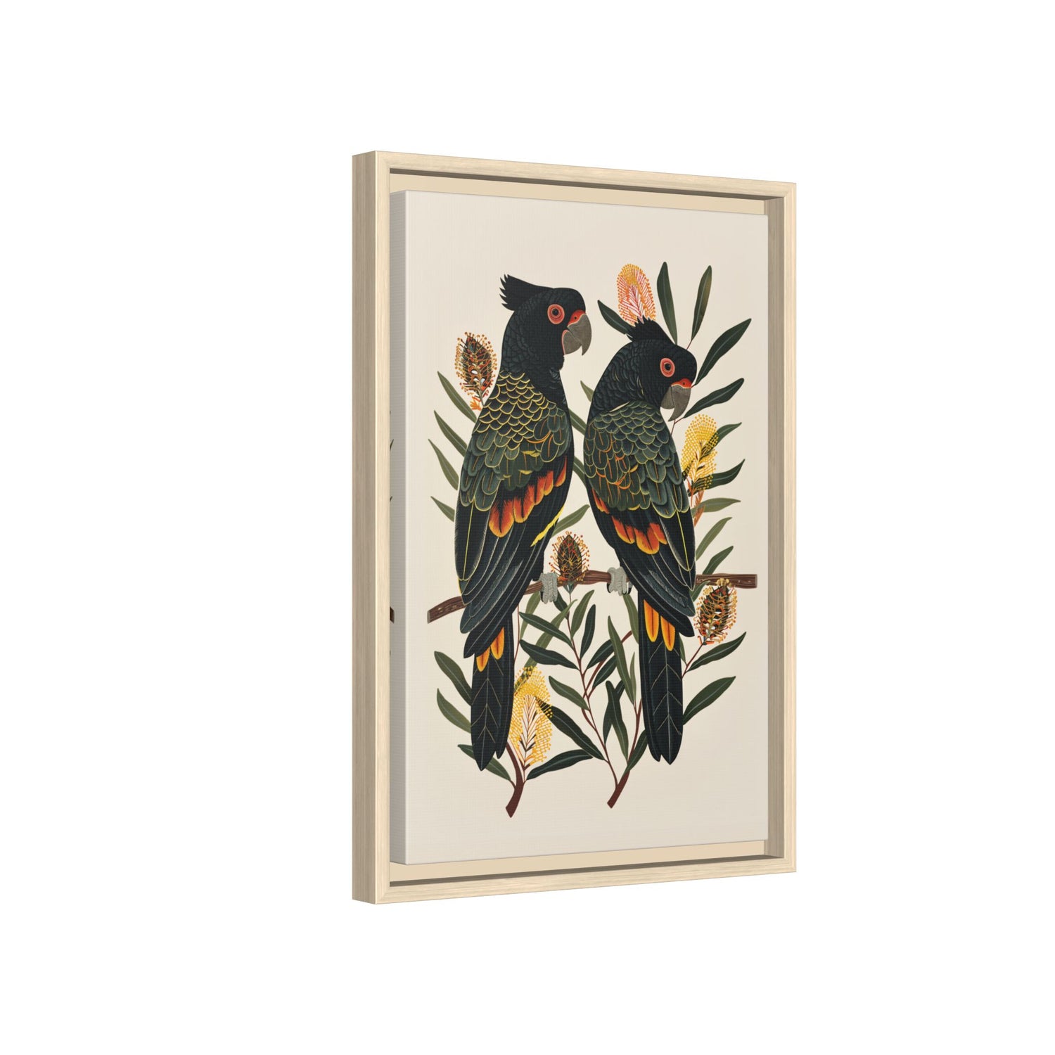 Framed Canvas - Black Cockatoos Among Banksia