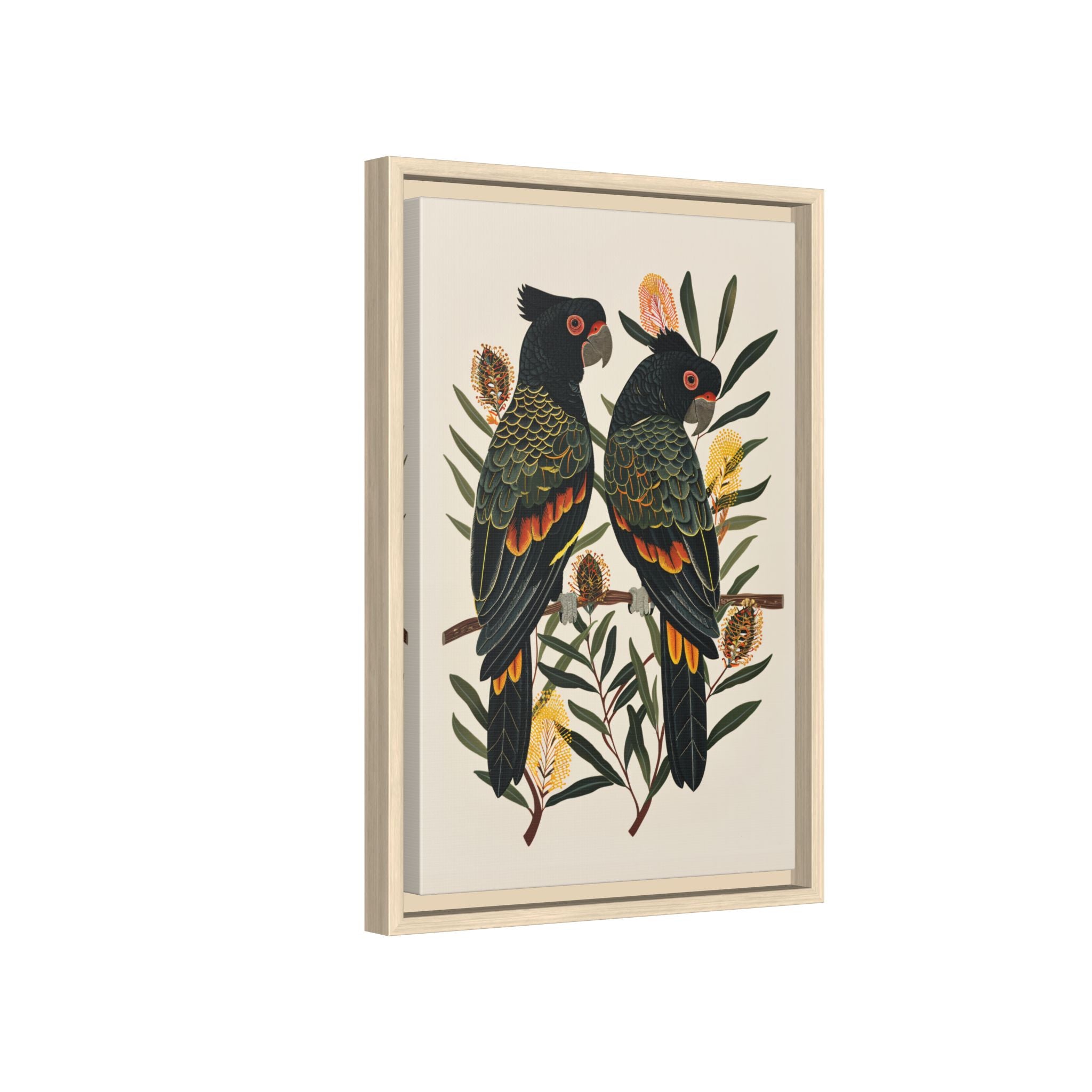 Framed Canvas - Black Cockatoos Among Banksia