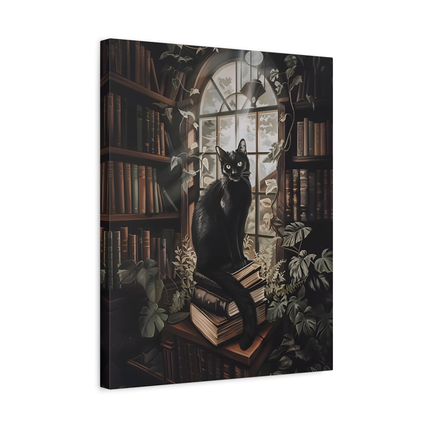 1.25" Matte Canvas - Book Hoarder Feline Gaze