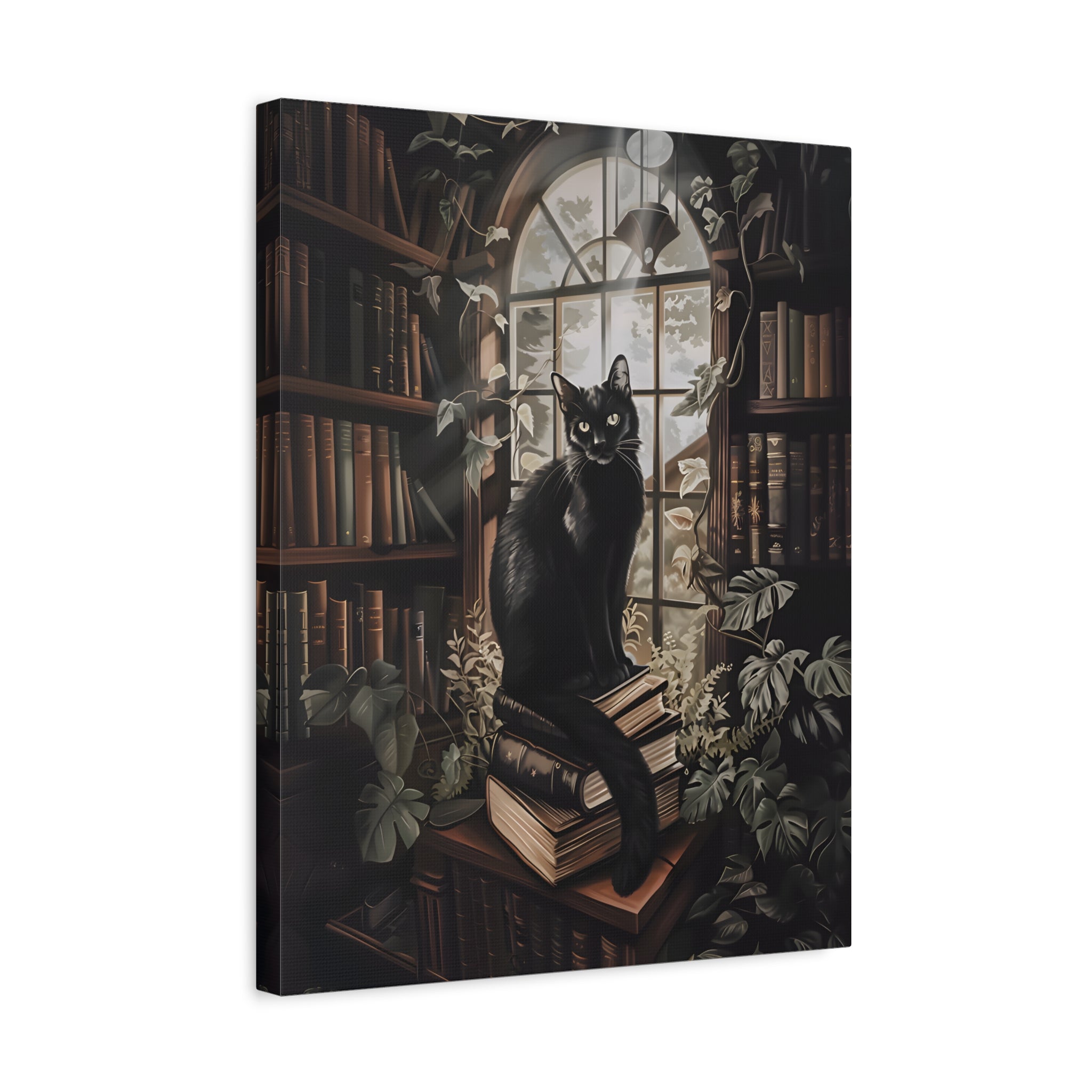 1.25" Matte Canvas - Book Hoarder Feline Gaze