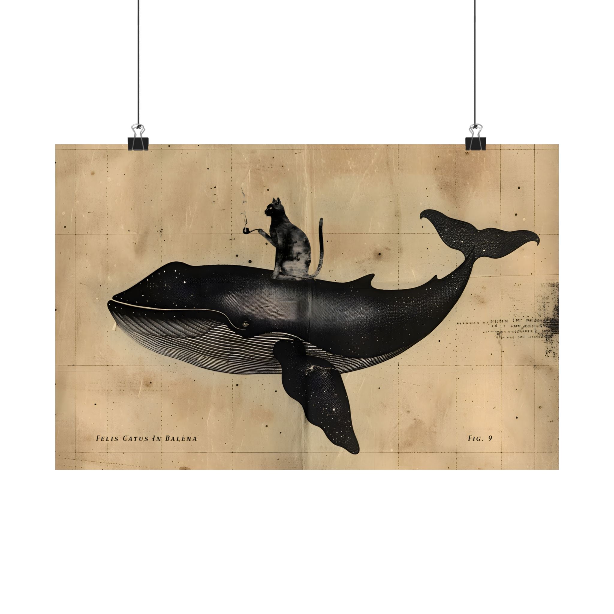 Cat Rides Whale Theory