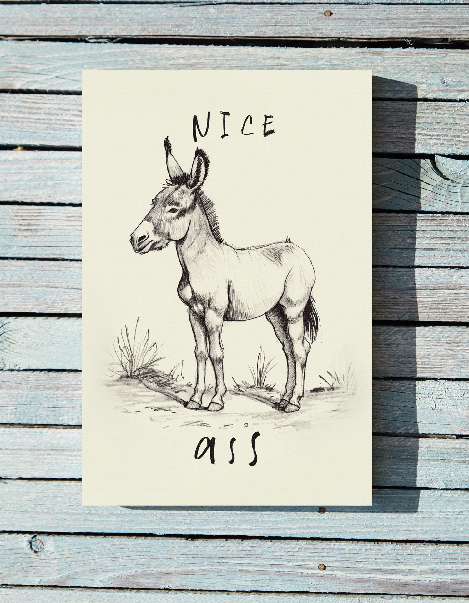 .75&quot; Matte Canvas - Donkey Line Art Humor