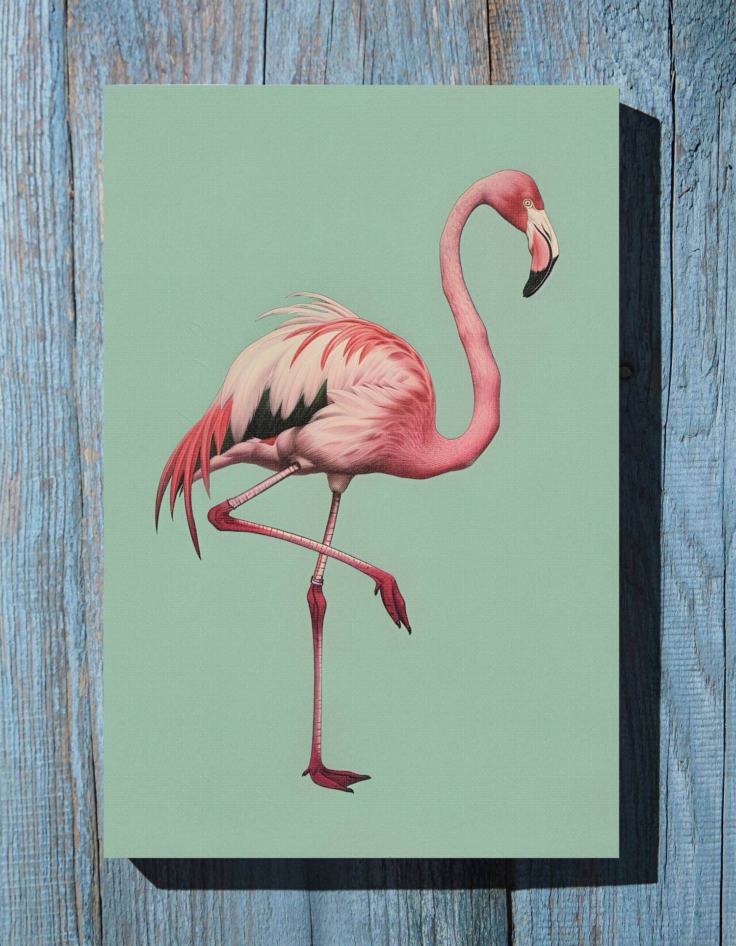 .75" Matte Canvas - Pink Flamingo Tropical
