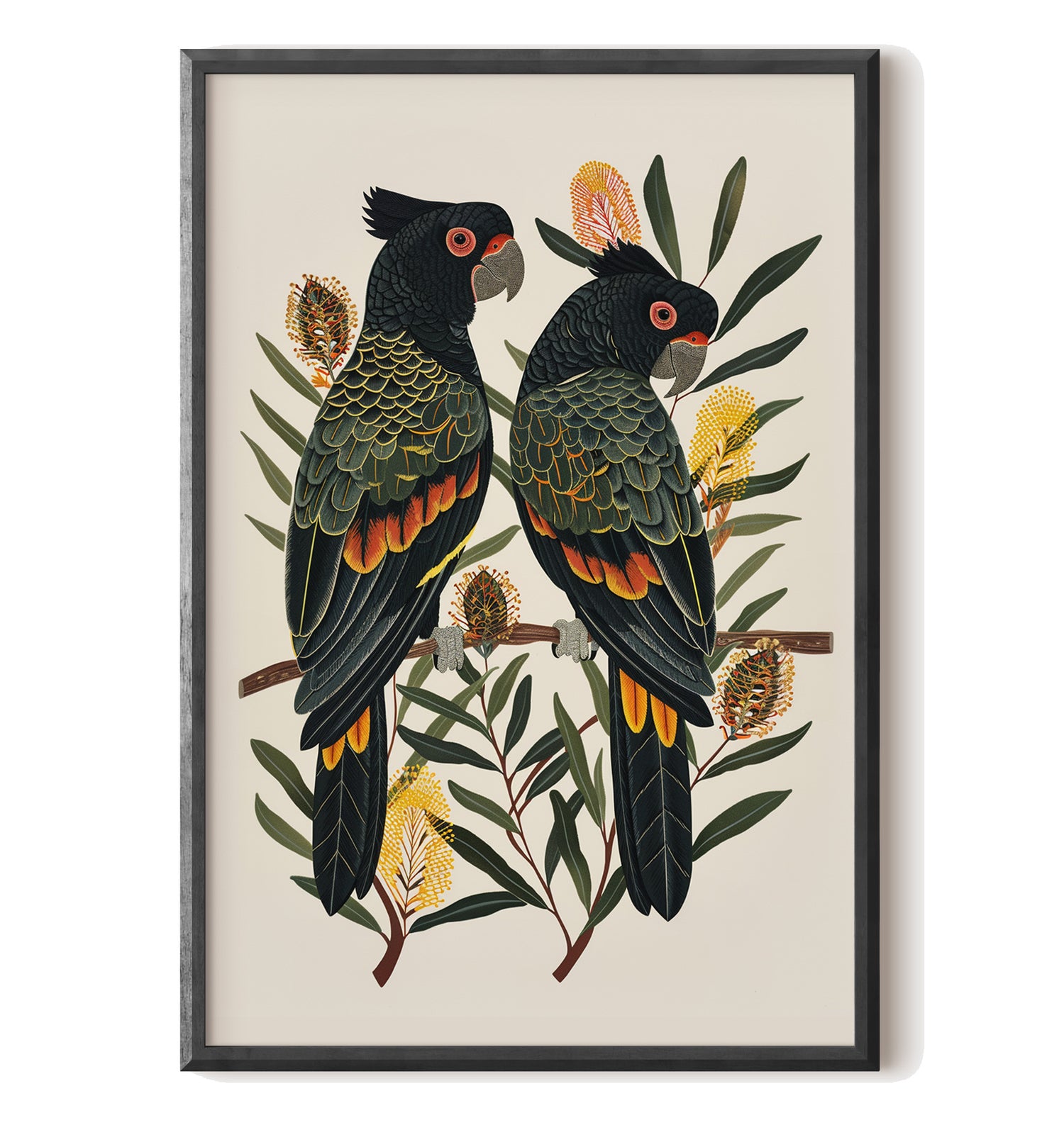 Black Cockatoos Among Banksia