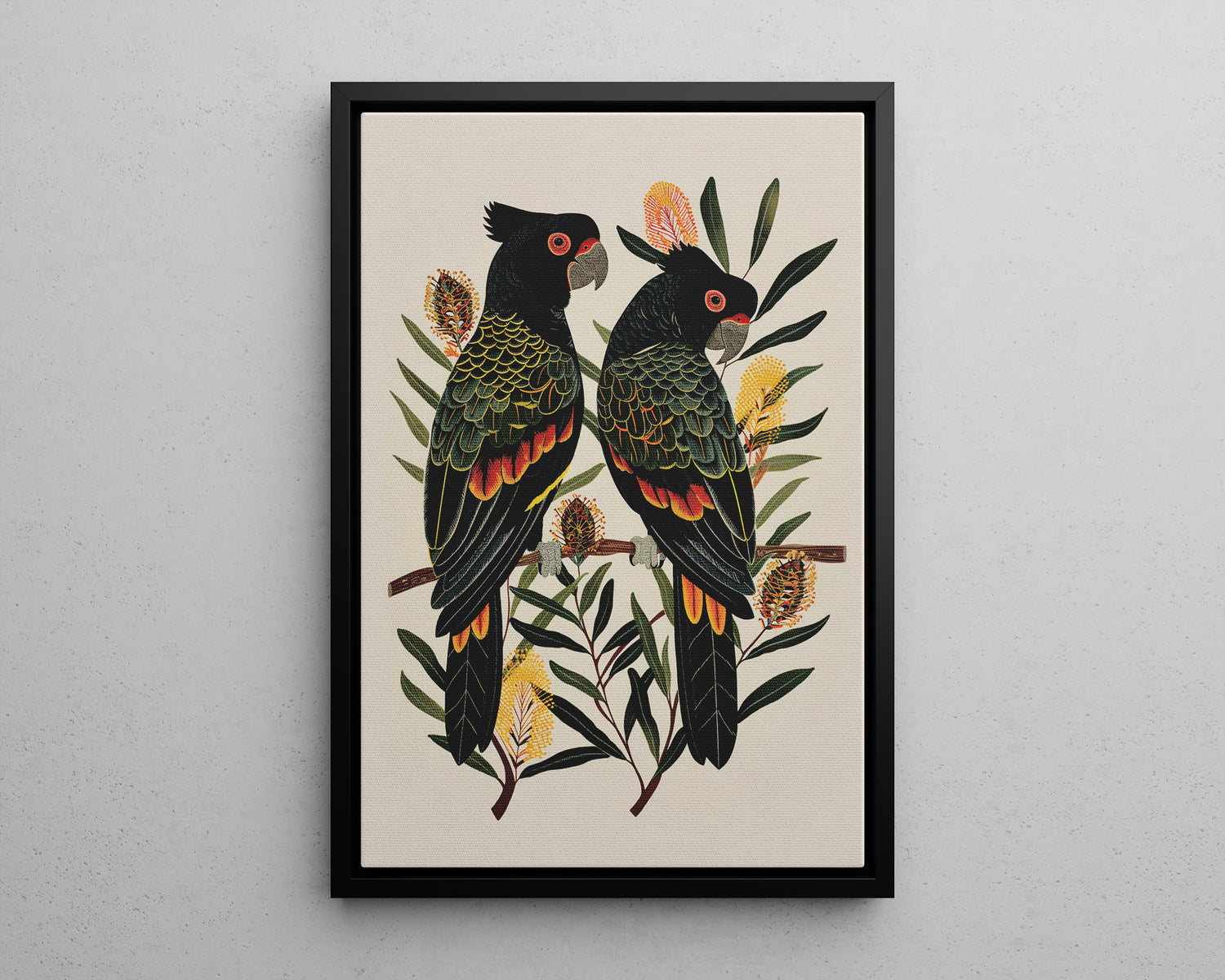 Framed Canvas - Black Cockatoos Among Banksia