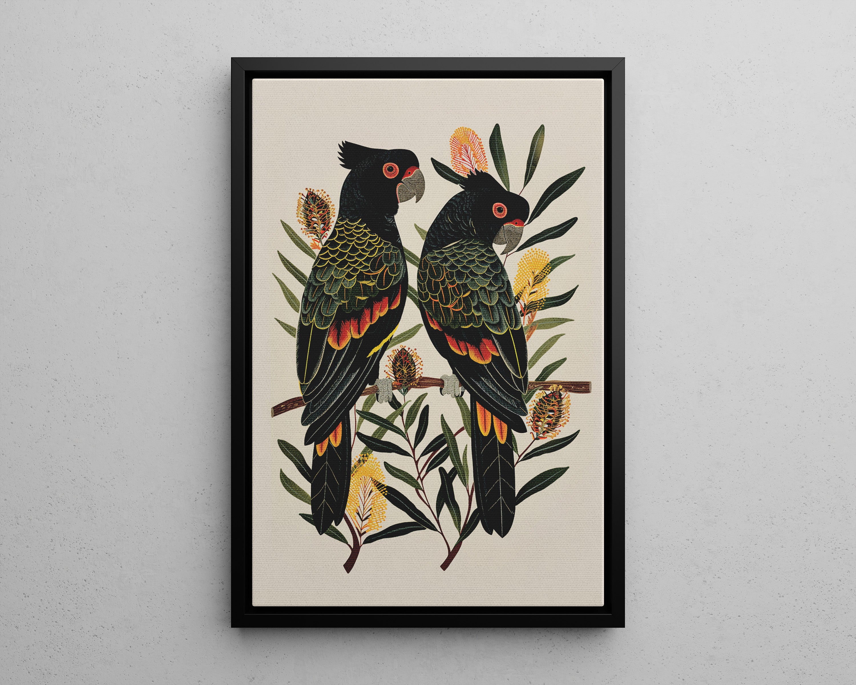 Framed Canvas - Black Cockatoos Among Banksia