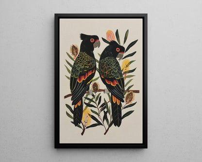 Framed Canvas - Black Cockatoos Among Banksia