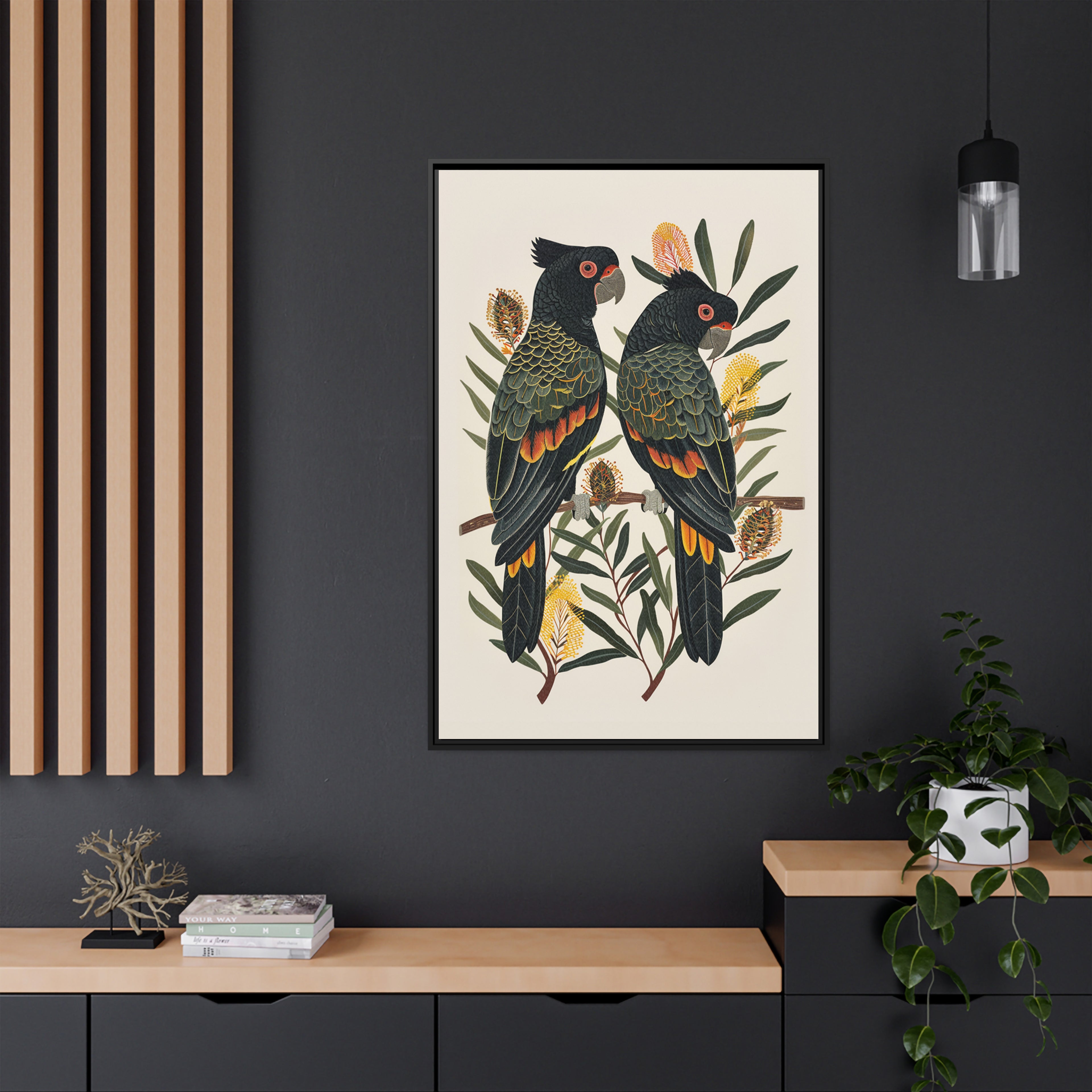 Framed Canvas - Black Cockatoos Among Banksia