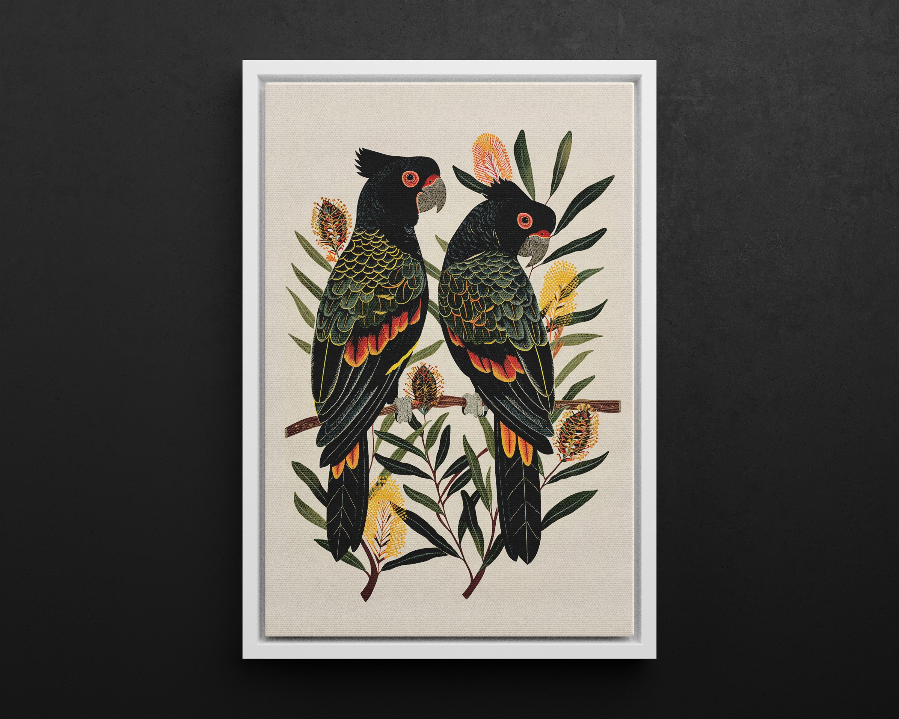 Framed Canvas - Black Cockatoos Among Banksia