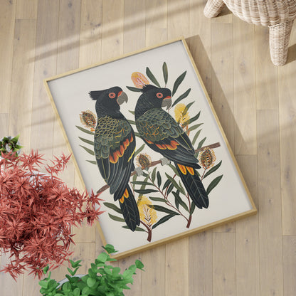 Black Cockatoos Among Banksia