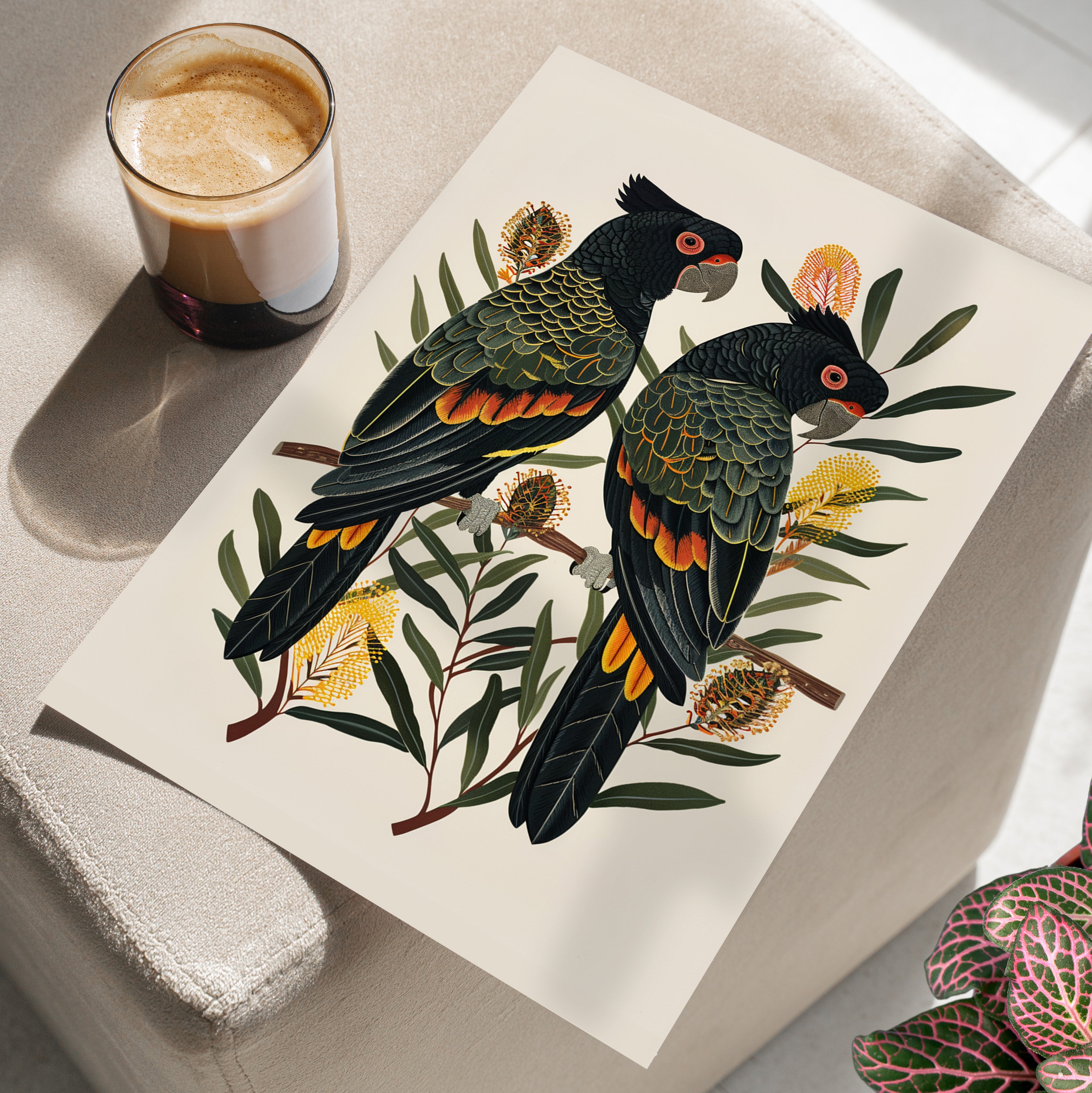 Black Cockatoos Among Banksia