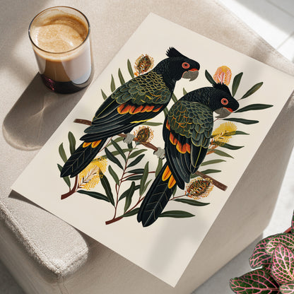 Black Cockatoos Among Banksia