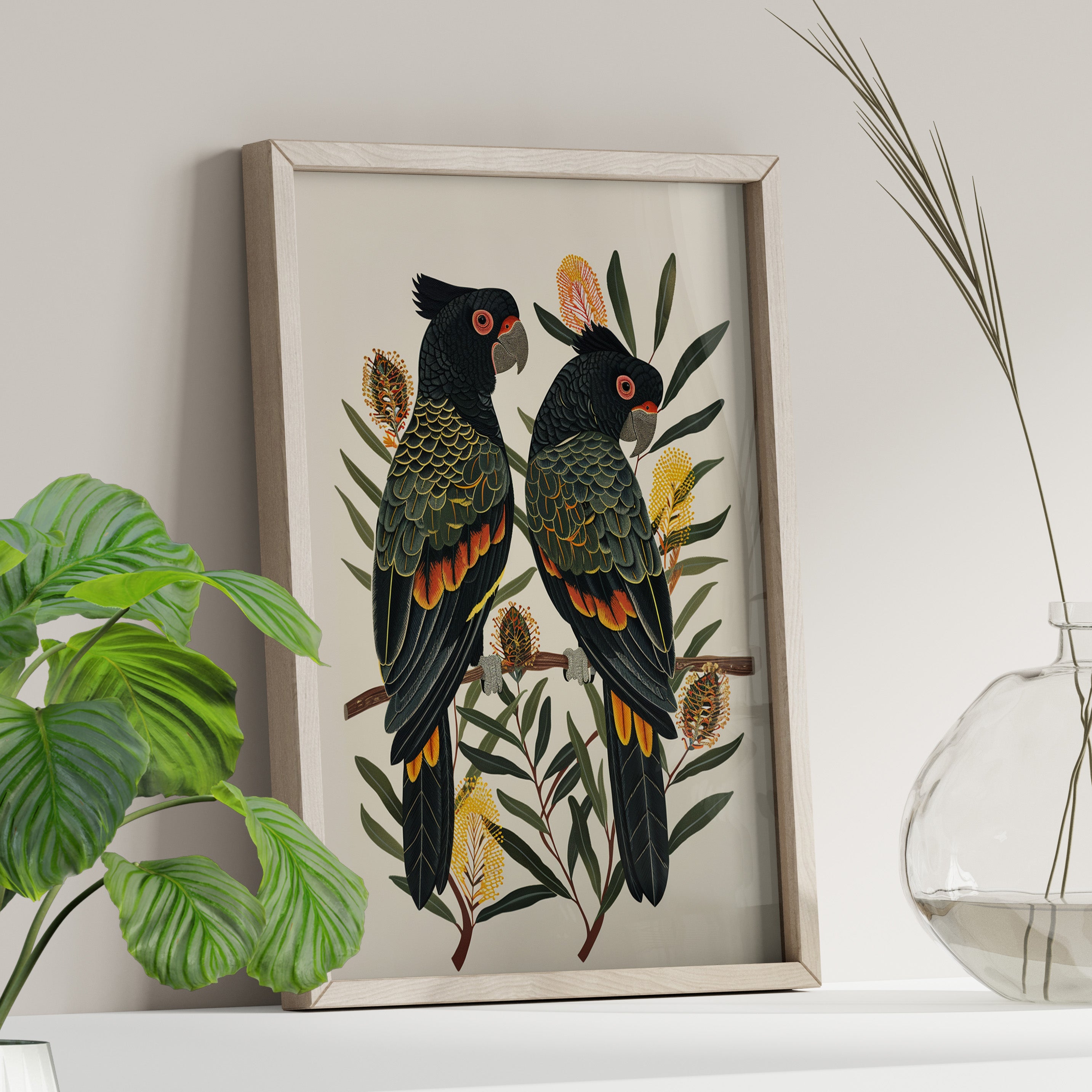 Black Cockatoos Among Banksia