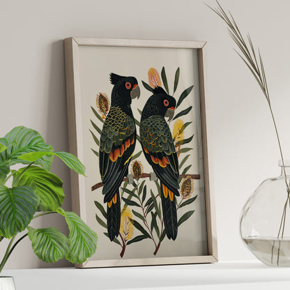 Black Cockatoos Among Banksia