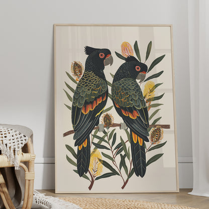 Black Cockatoos Among Banksia