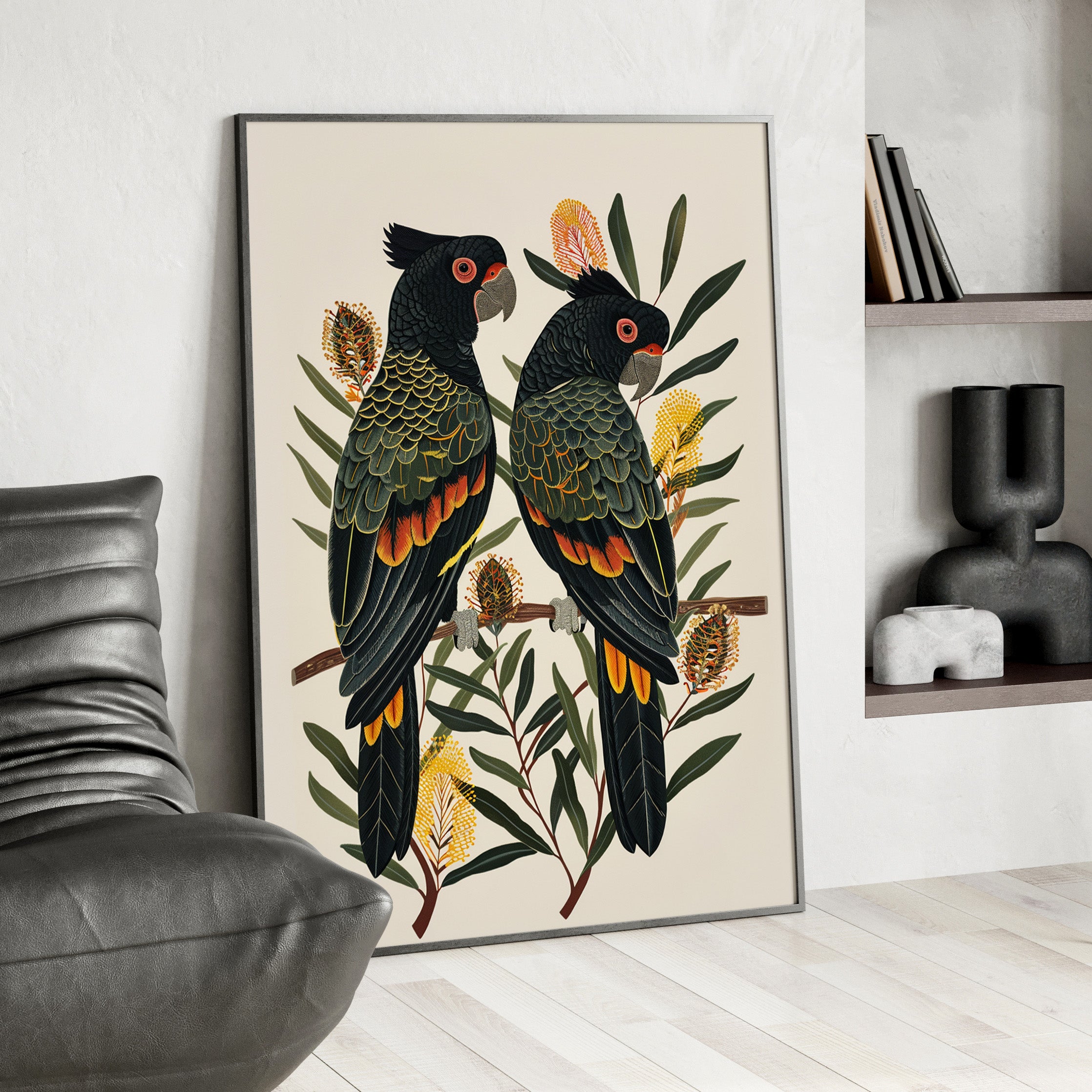 Framed Paper Print - Black Cockatoos Among Banksia