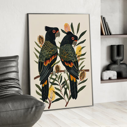 Framed Paper Print - Black Cockatoos Among Banksia