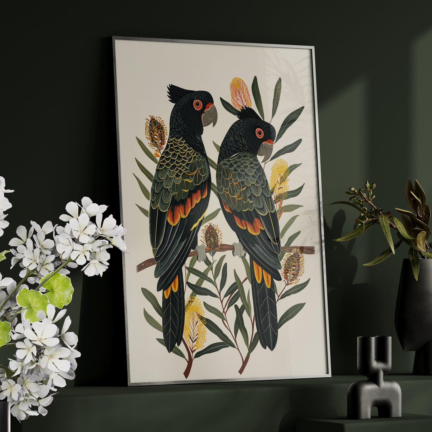 Framed Paper Print - Black Cockatoos Among Banksia