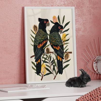 Framed Paper Print - Black Cockatoos Among Banksia