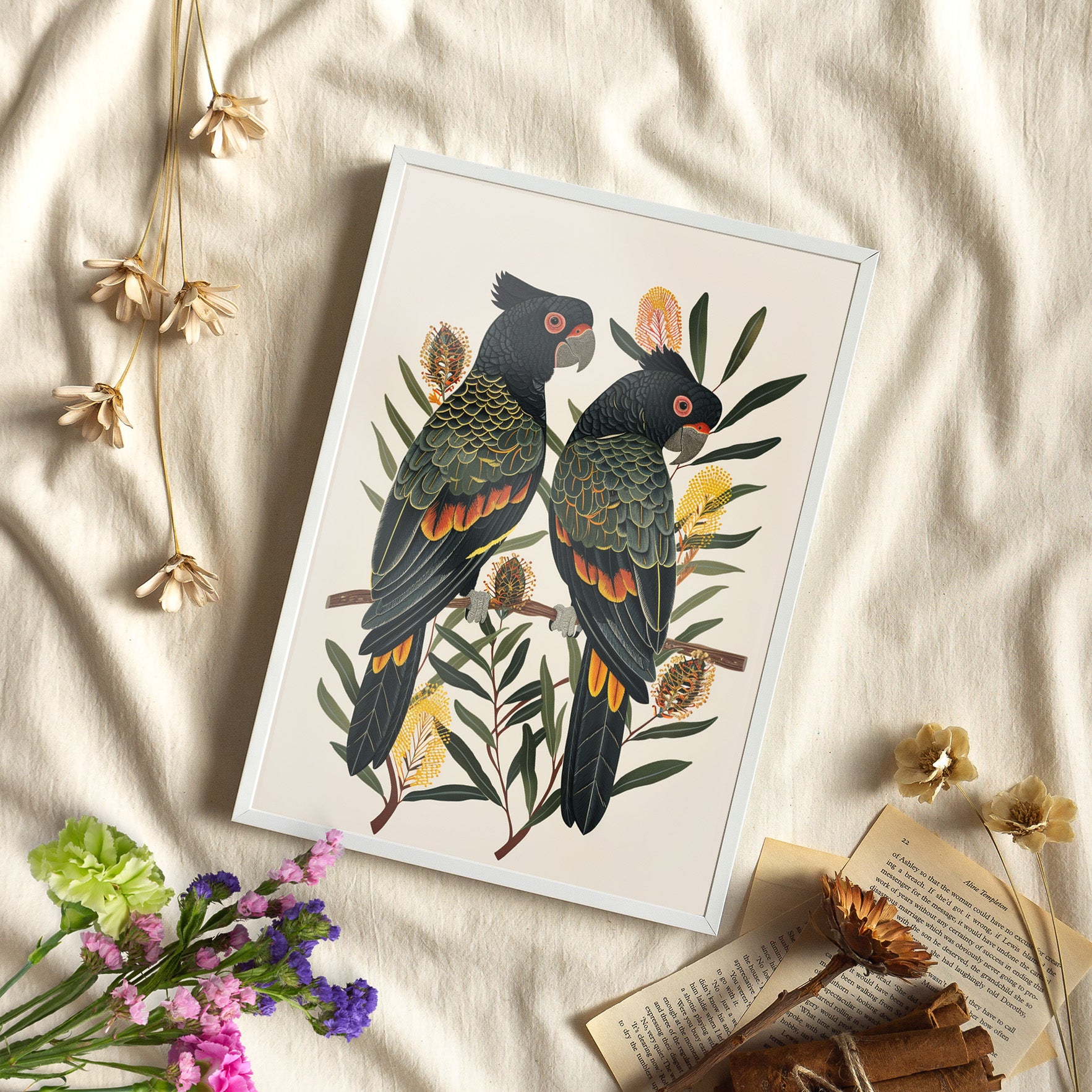 Framed Paper Print - Black Cockatoos Among Banksia