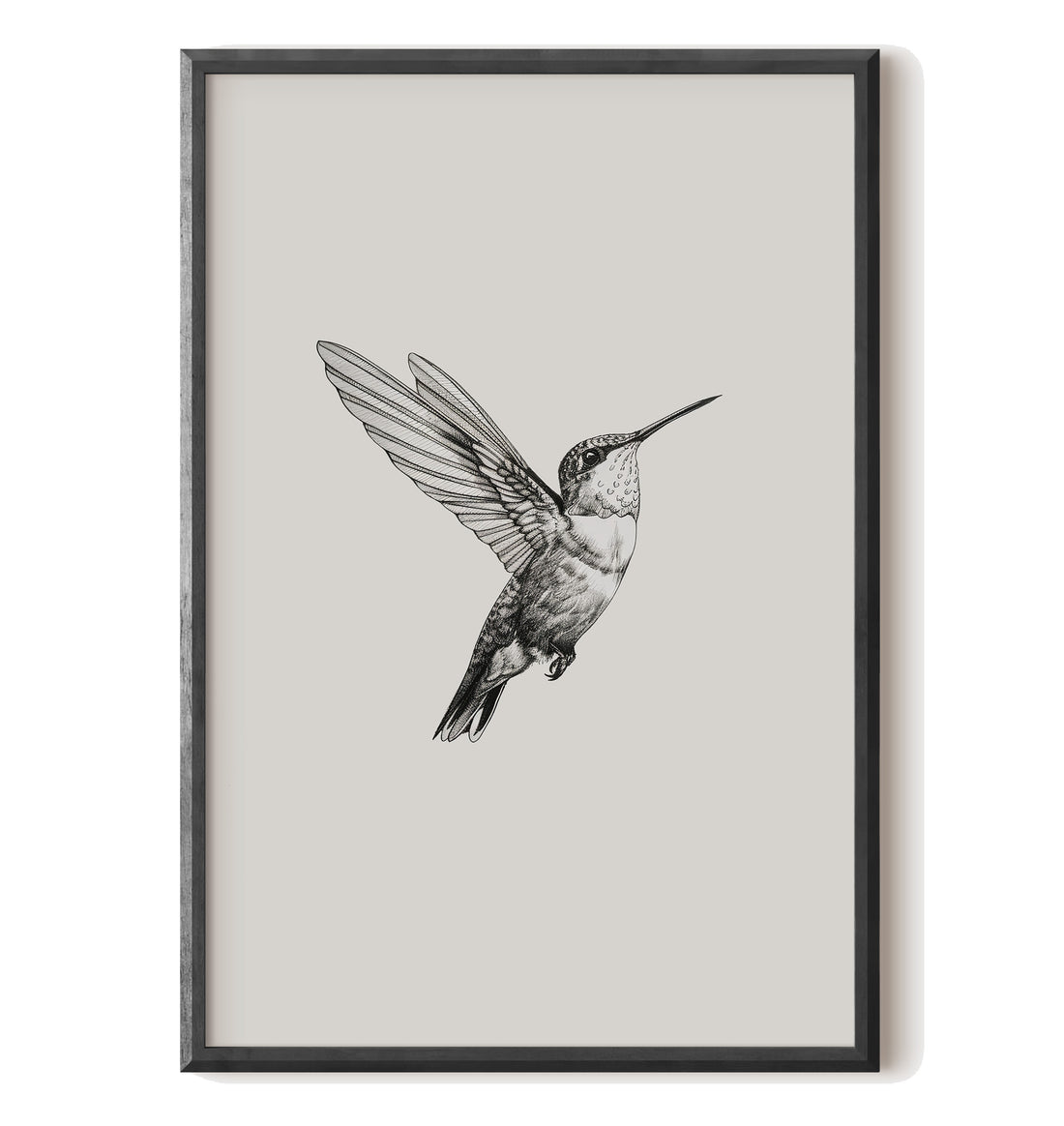 Flying Hummingbird Line Study