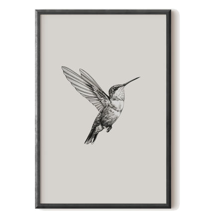 Flying Hummingbird Line Study