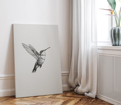 .75" Matte Canvas - Flying Hummingbird Line Study