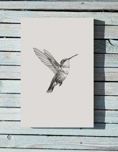 .75" Matte Canvas - Flying Hummingbird Line Study