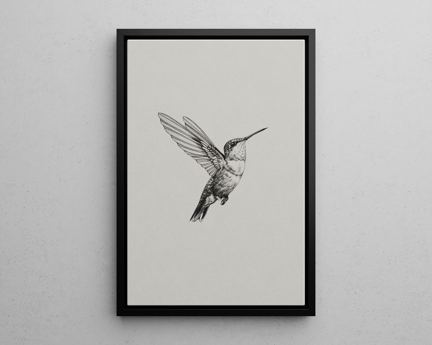 Framed Canvas - Flying Hummingbird Line Study