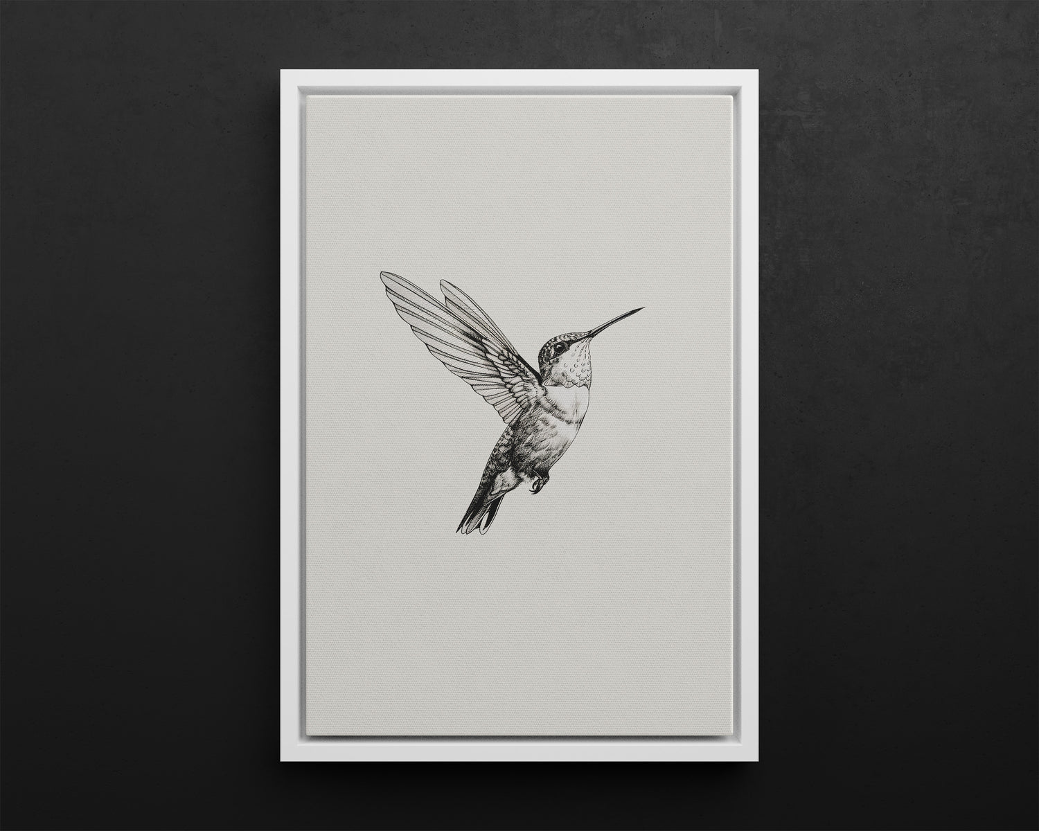 Framed Canvas - Flying Hummingbird Line Study
