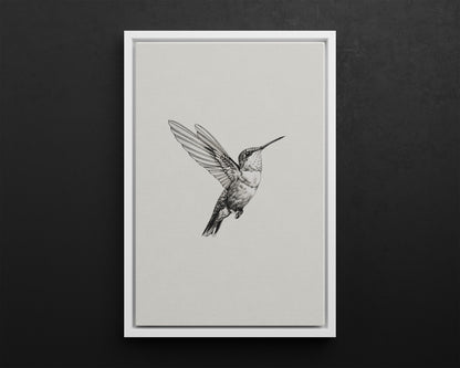 Framed Canvas - Flying Hummingbird Line Study
