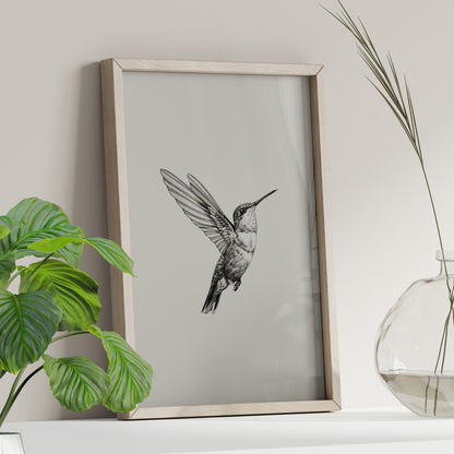 Flying Hummingbird Line Study