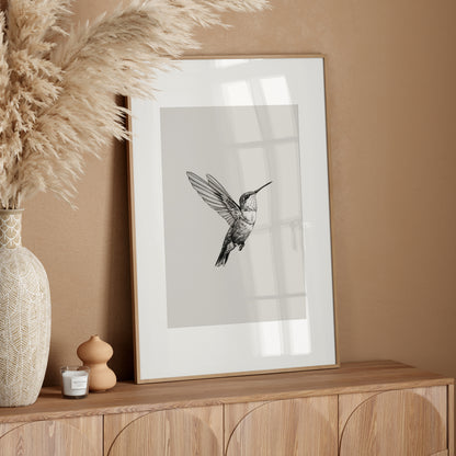 Flying Hummingbird Line Study