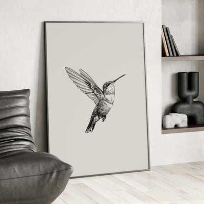 Framed Paper Print - Flying Hummingbird Line Study