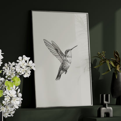 Framed Paper Print - Flying Hummingbird Line Study