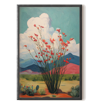 Ocotillo Cactus Desert Bloom