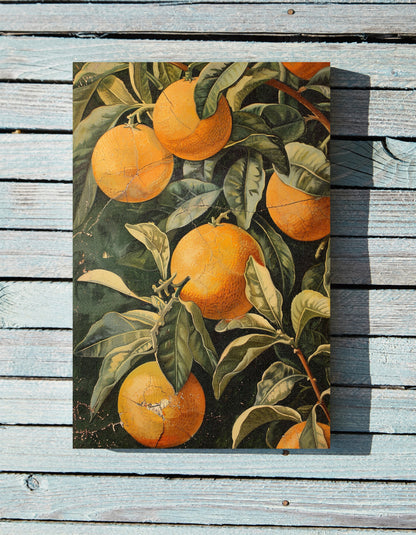 .75&quot; Matte Canvas - Citrus Grove Splendor