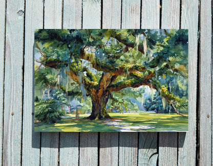 .75" Matte Canvas - Whispering Southern Live Oak