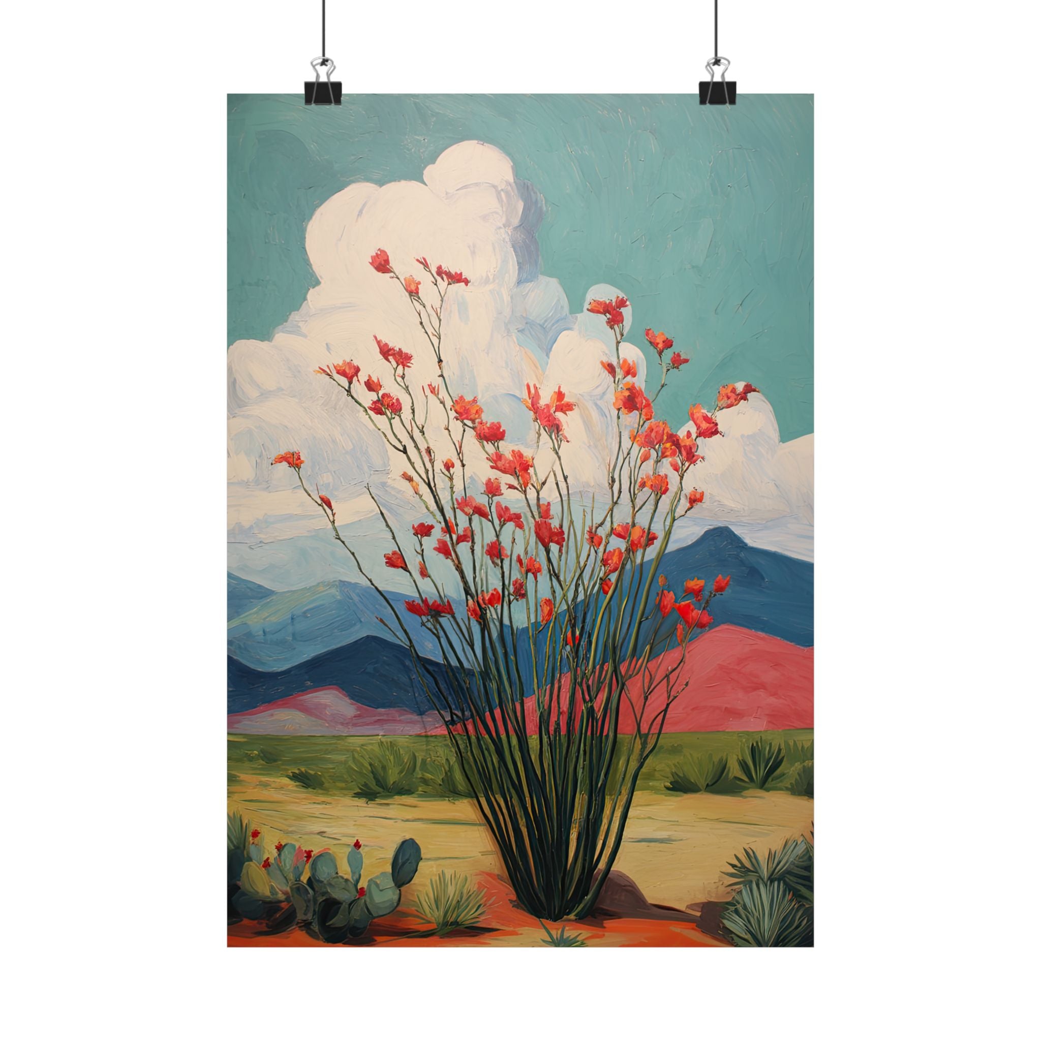Ocotillo Cactus Desert Bloom