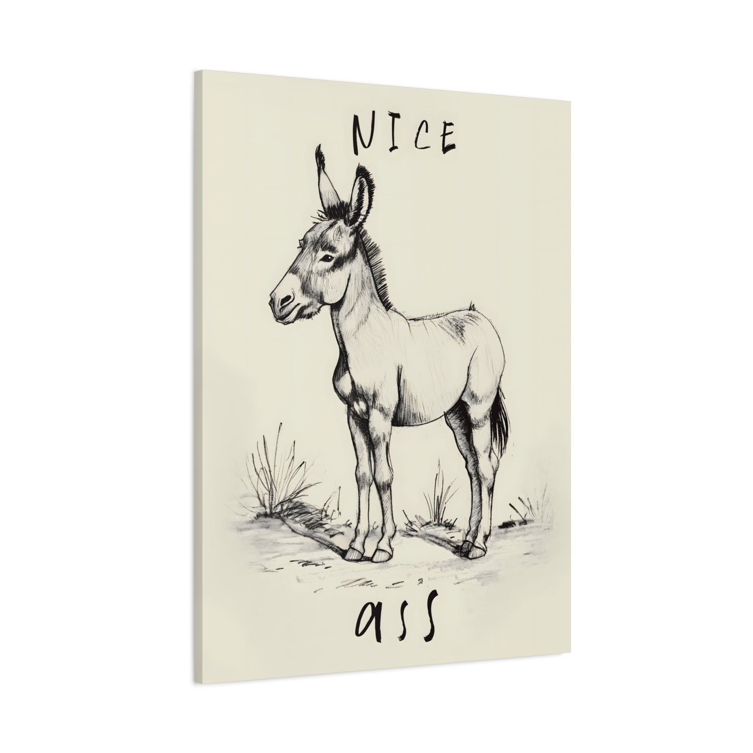 1.25" Matte Canvas - Donkey Line Art Humor