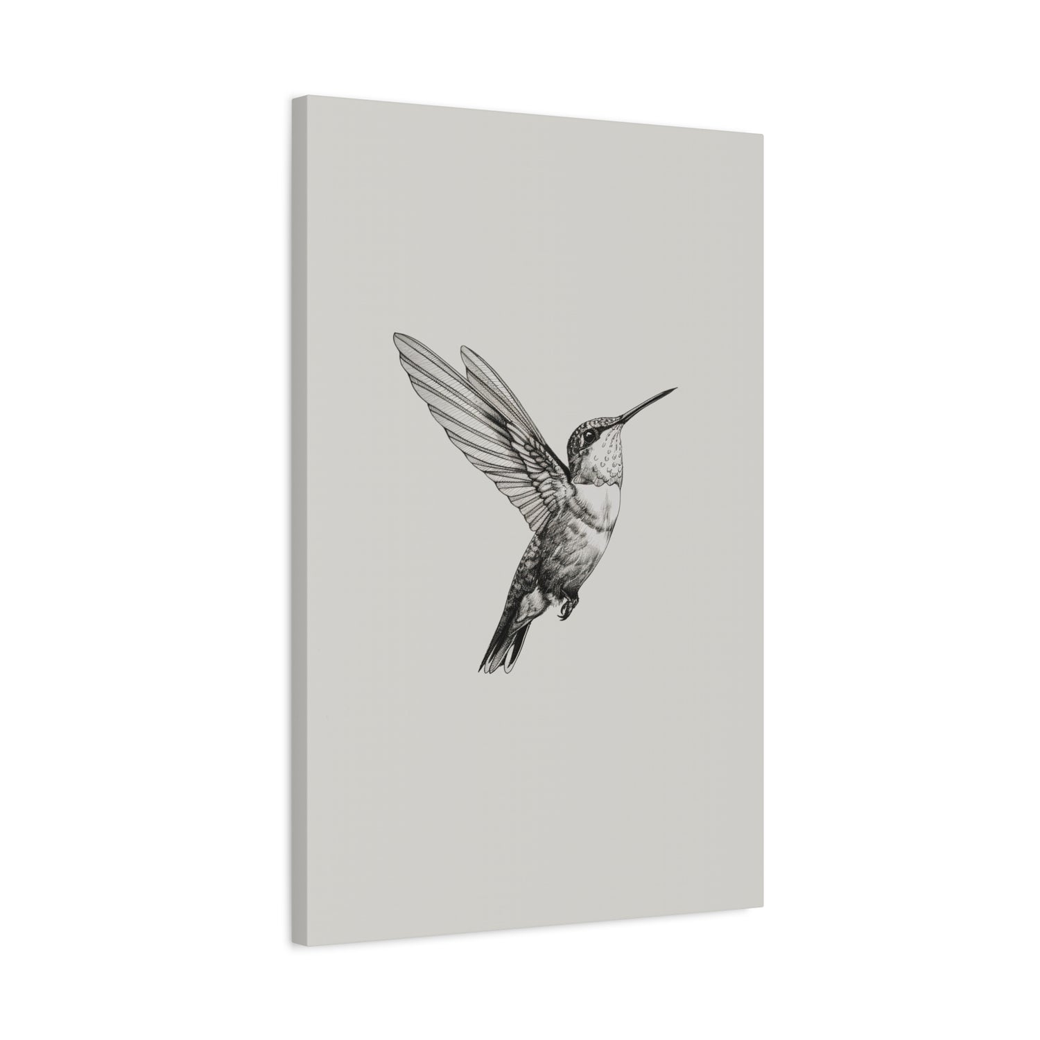 1.25" Matte Canvas - Flying Hummingbird Line Study