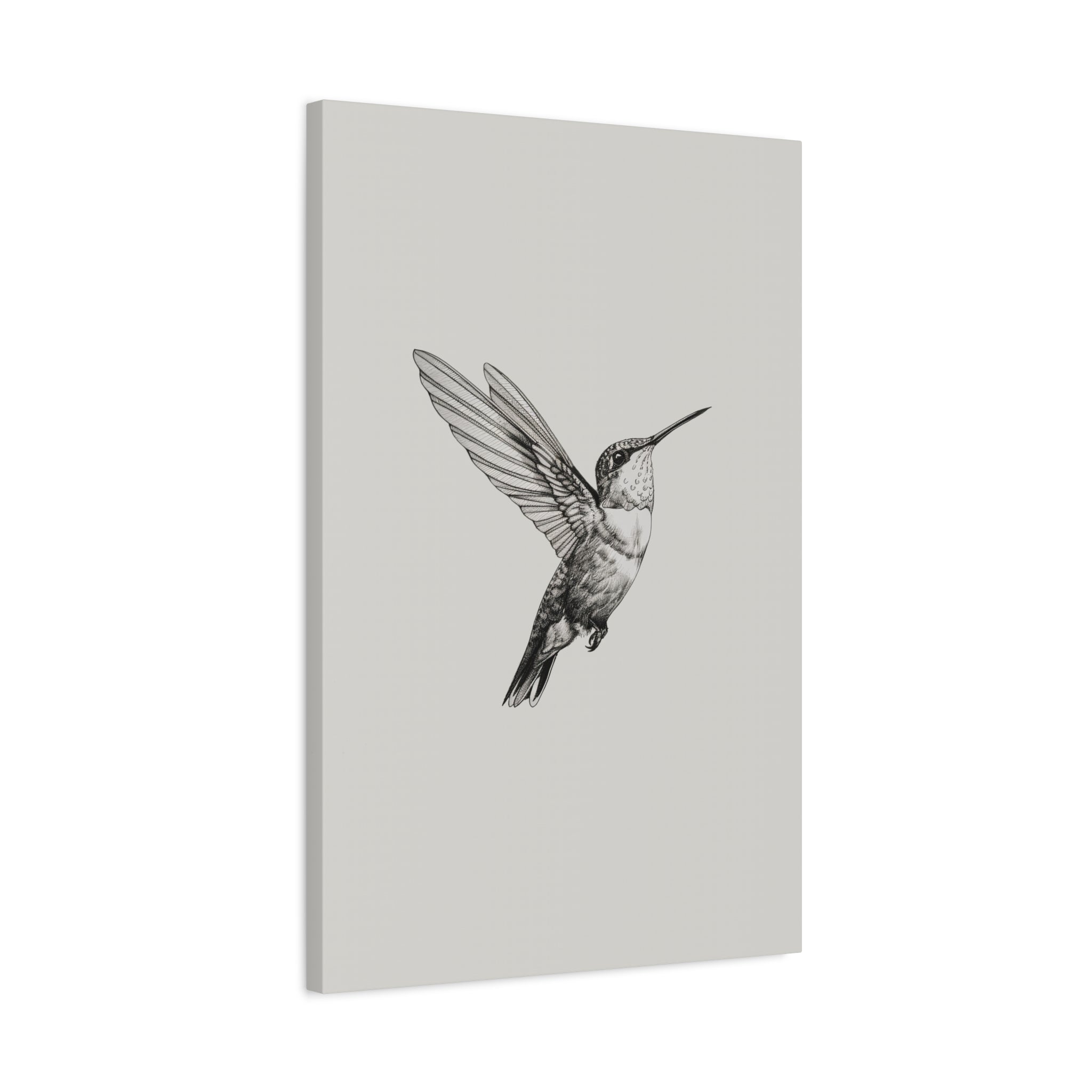 1.25" Matte Canvas - Flying Hummingbird Line Study