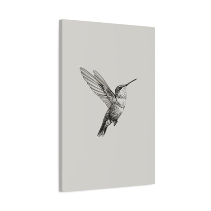 1.25" Matte Canvas - Flying Hummingbird Line Study