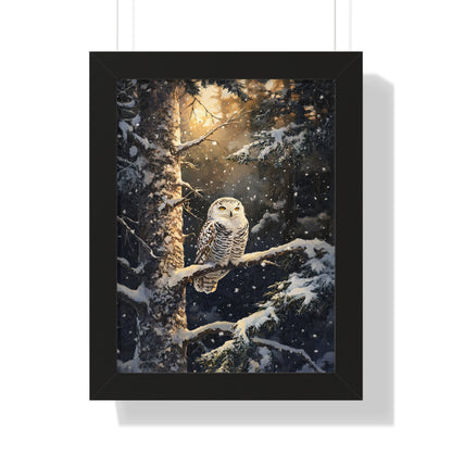 Framed Paper Print - Silent Gaze Snow Owl