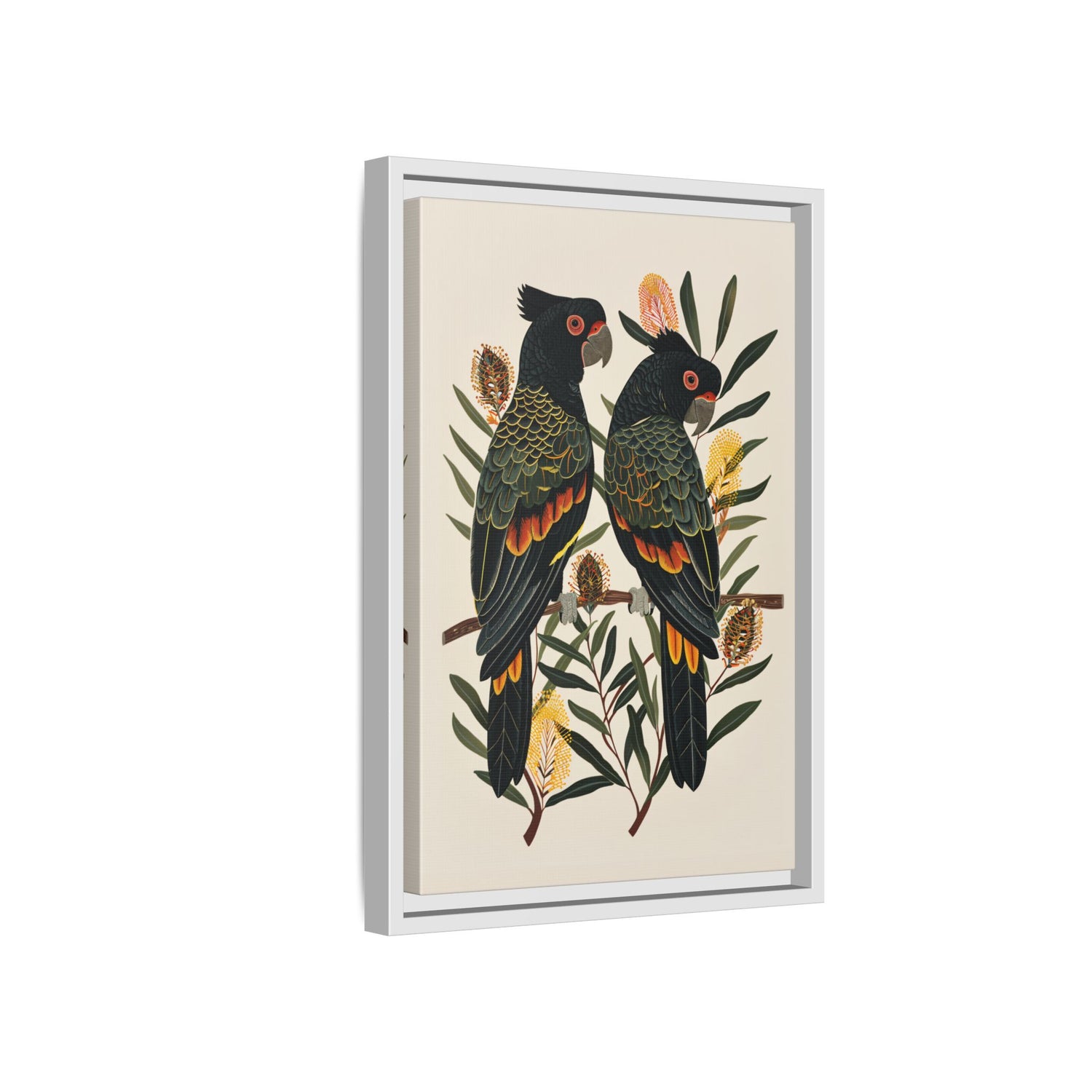 Framed Canvas - Black Cockatoos Among Banksia