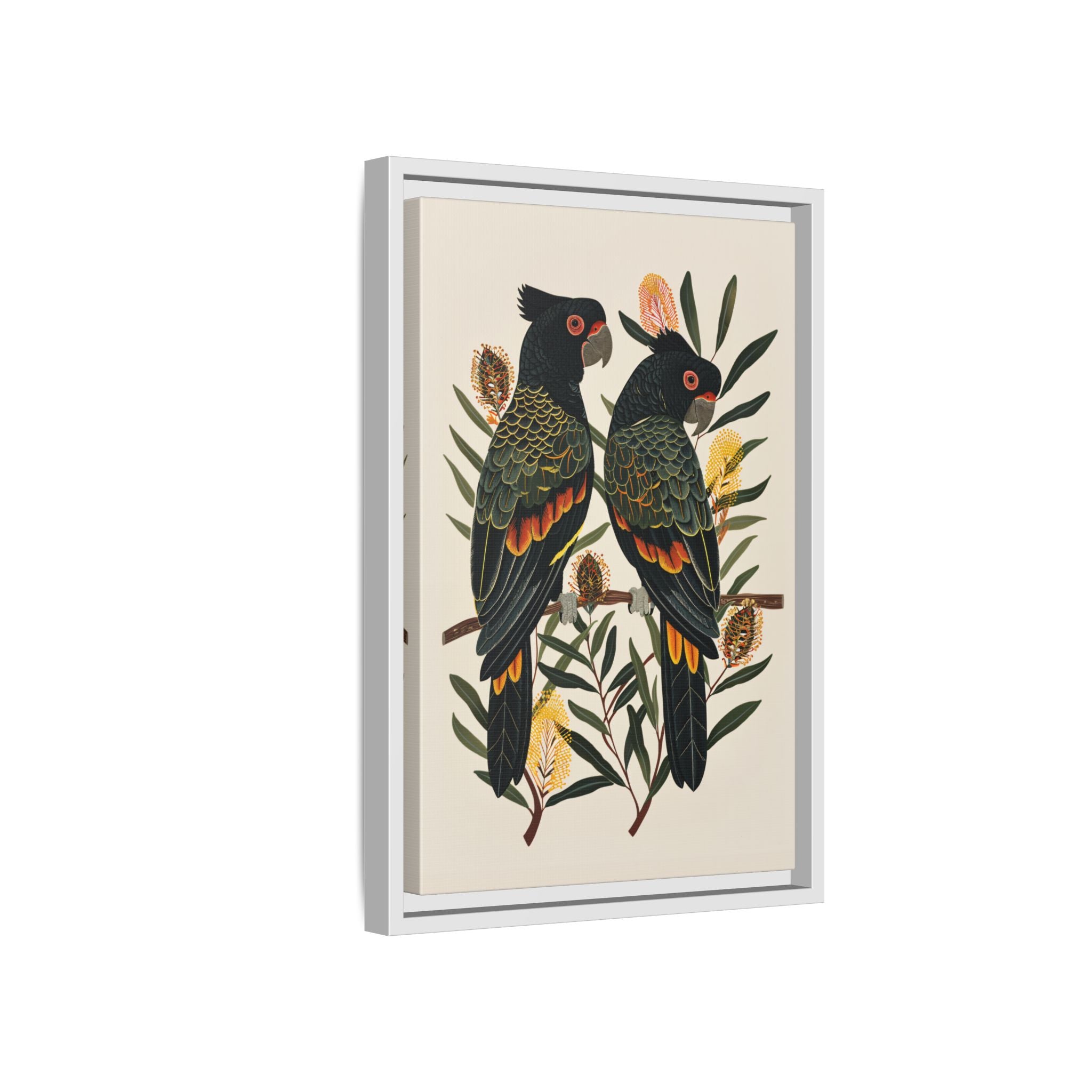 Framed Canvas - Black Cockatoos Among Banksia